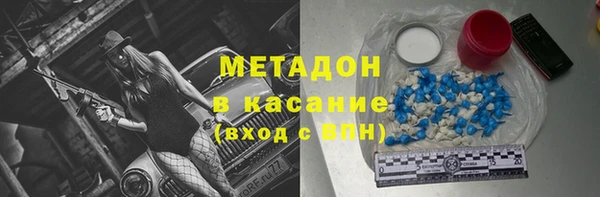прущие грибы Беломорск