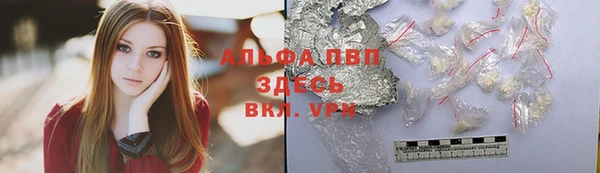 прущие грибы Беломорск