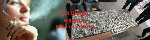 прущие грибы Беломорск