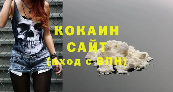 спиды Богданович