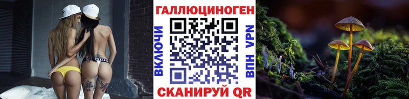 блэк спрут зеркало  Вуктыл  Псилоцибиновые грибы MAGIC MUSHROOMS 